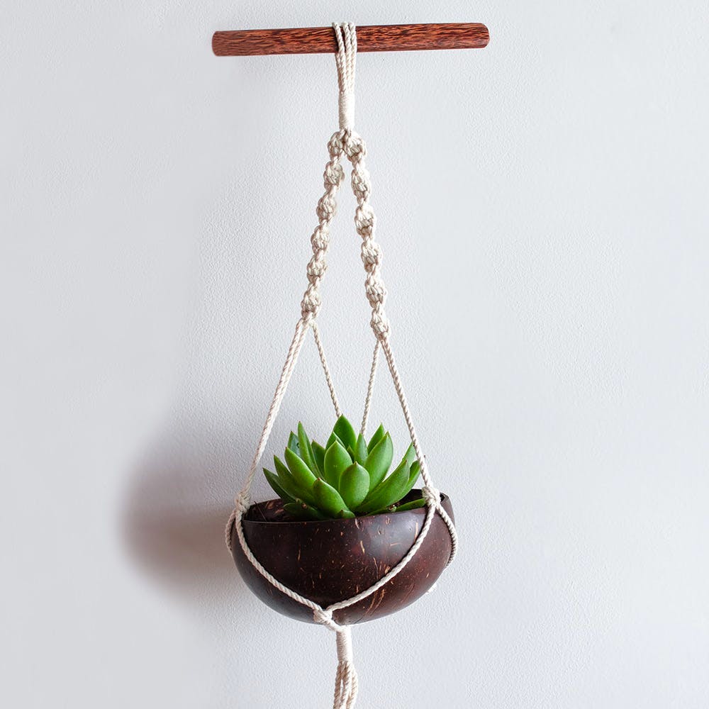 Coconut Shell Hanging Planter for Small Plants & Succulents
