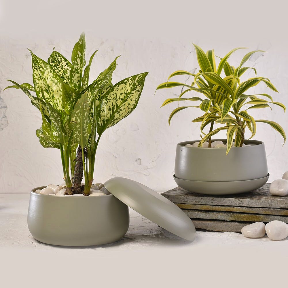 Solid Metal Planter Pot With Drain Plate-Set of 2