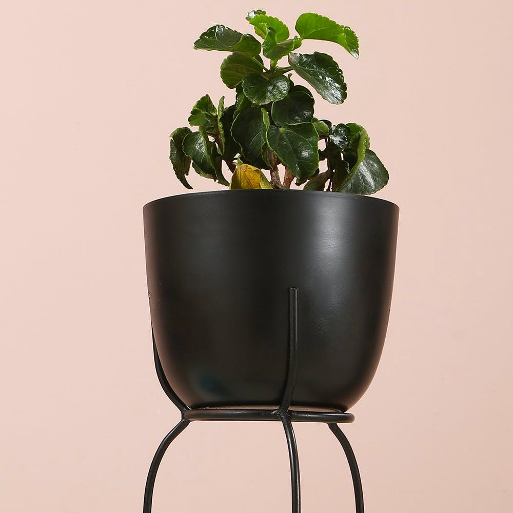 Black Metal Planter with stand 12 inches tall
