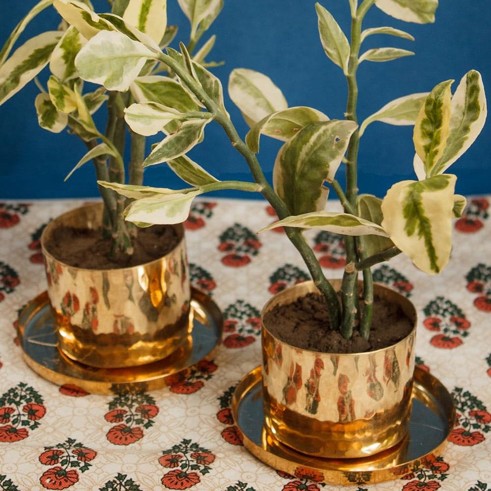 Handmade Brass Cup Planters