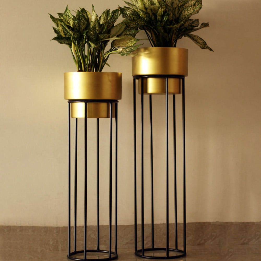 Antique Noir Planters with Iron Stan