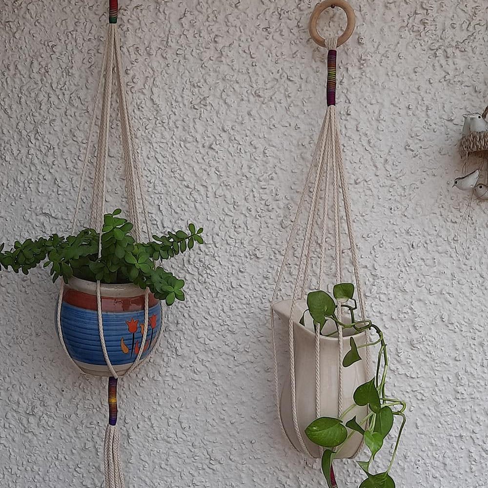 Macramé Plant Holder/Plant Hanger