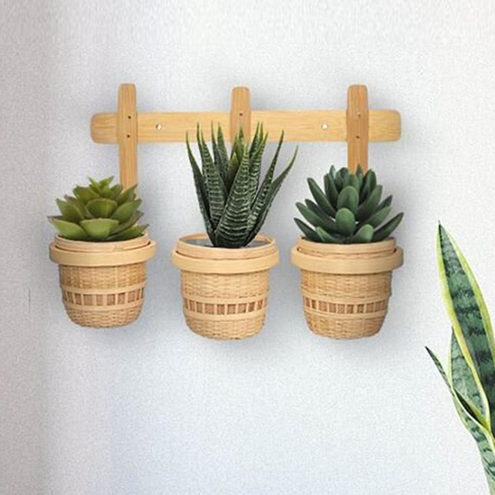 3-In-1 Bamboo Wall Planter