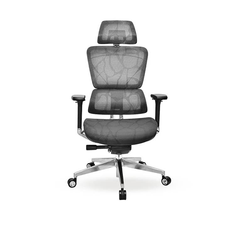 The Office Room Inox Office Chair