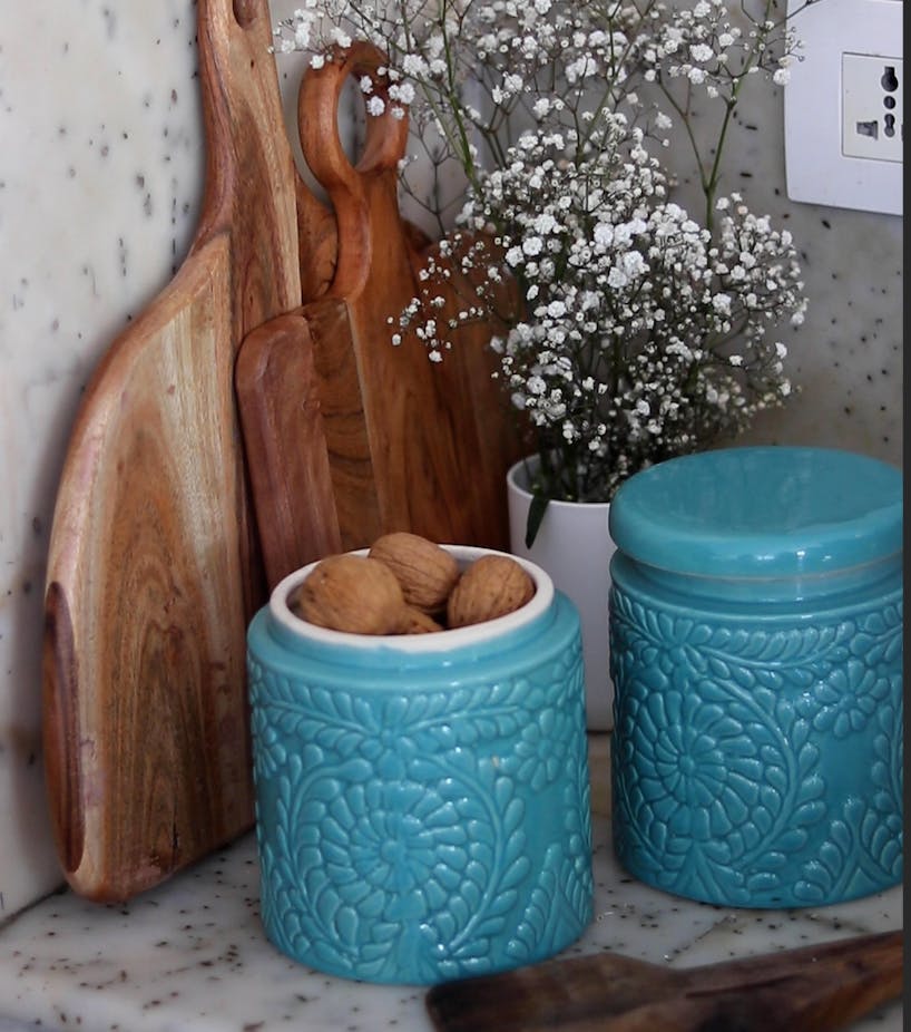Plant,Tableware,Flowerpot,Dishware,Green,Blue,Drinkware,Azure,Flower,Houseplant