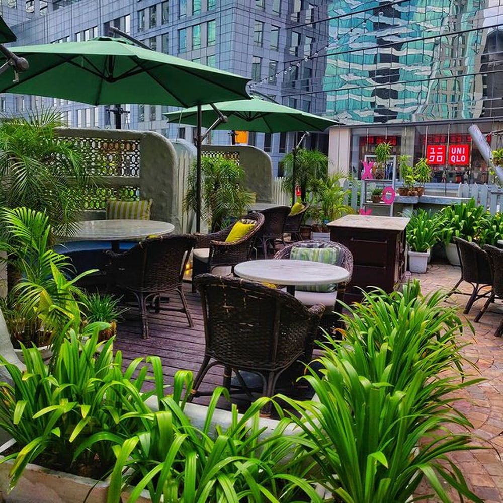 Plant,Building,Table,Botany,Vegetation,Umbrella,Architecture,Chair,Houseplant,Water