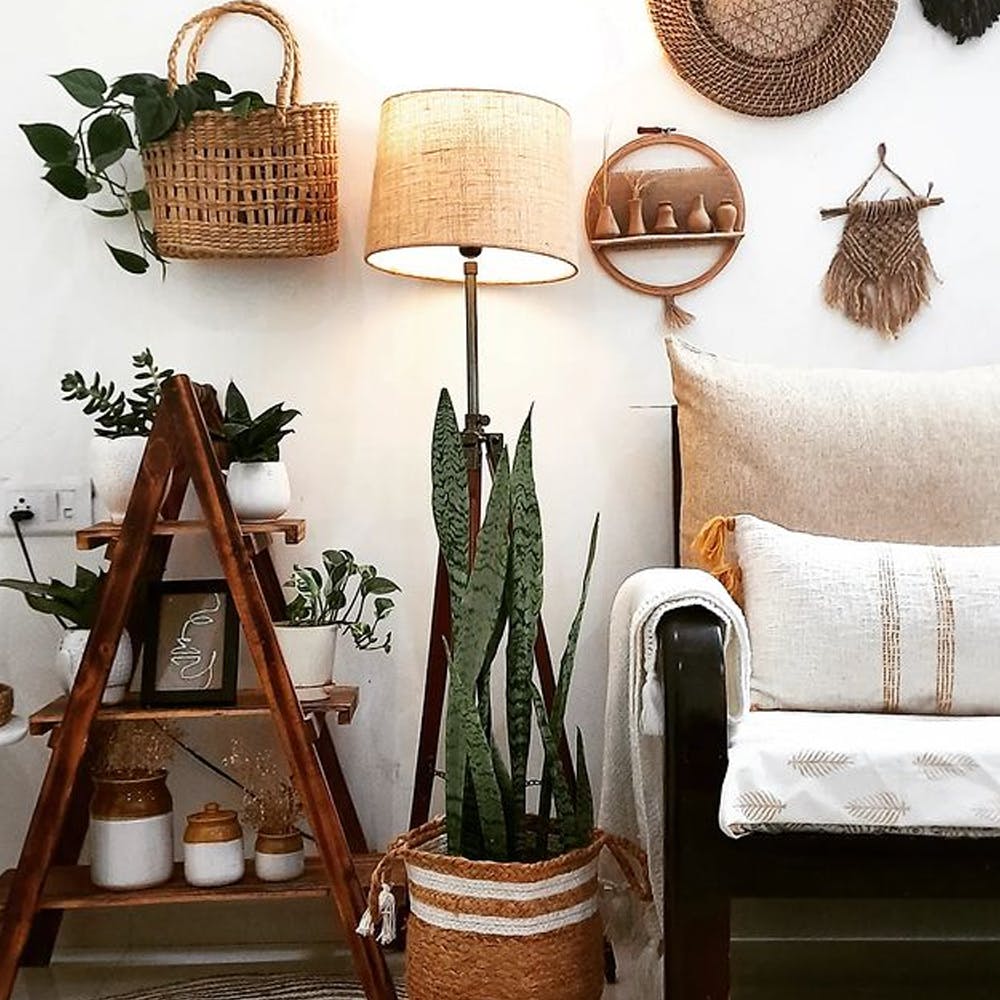 White,Plant,Wood,Branch,Orange,Interior design,Twig,Grey,Lamp,Living room