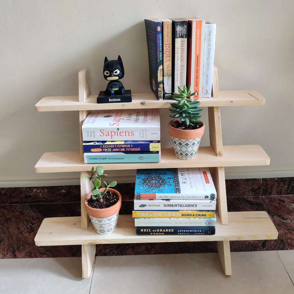 Bookcase,Shelf,Furniture,Plant,Shelving,Wood,Rectangle,Interior design,Houseplant,Grey