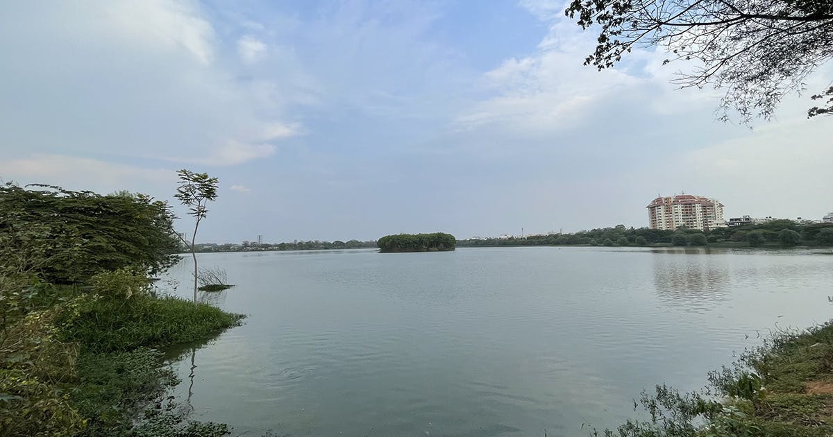 Go For A Run At Agara Lake, HSR Layout | LBB, Bangalore