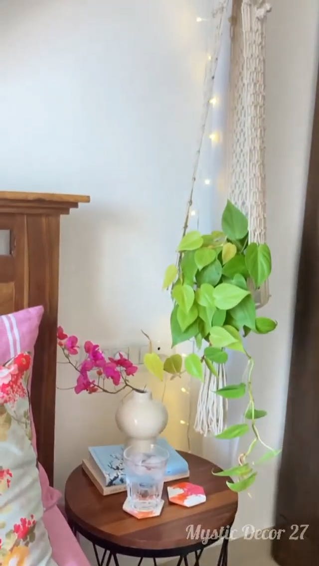 Plant,Flowerpot,Product,Houseplant,Flower,Interior design,Vase,Wood,Table,Twig