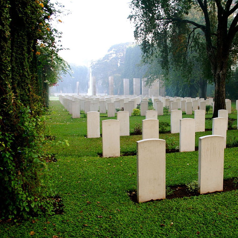 Plant,Cemetery,Green,Sky,Tree,Natural landscape,Sunlight,Grass,Grave,Atmospheric phenomenon