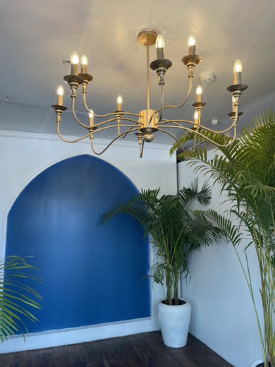 Plant,Property,Light,Table,Flowerpot,Blue,Azure,Lighting,Houseplant,Interior design