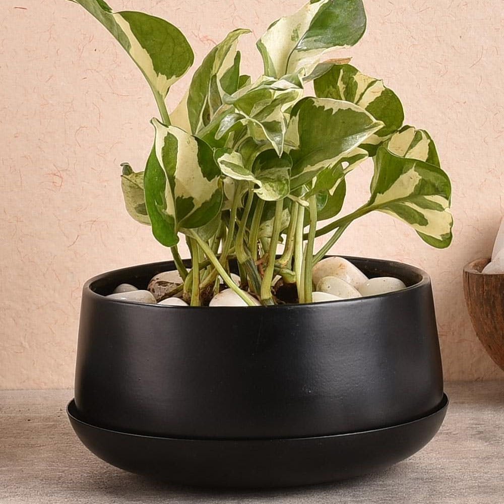 Metal Planter Pot With Drain Plate For Indoor Plants & Flowers