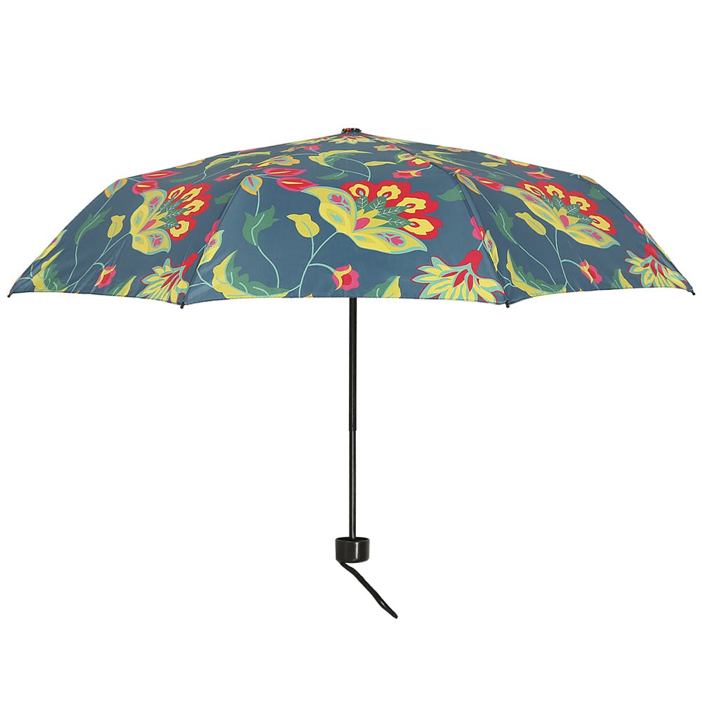 Buy Monsoon Umbrella & Raincoat Online | LBB