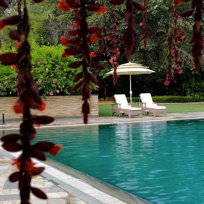 Water,Plant,Property,Green,Nature,Swimming pool,Botany,Vegetation,Outdoor furniture,Tree