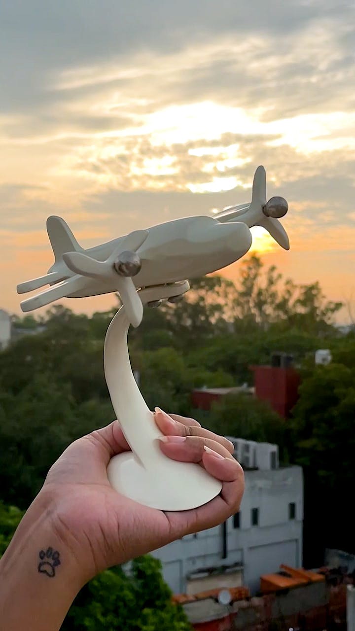 Cloud,Sky,Bird,Aircraft,Beak,Gesture,Wing,Airplane,Tree,Aviation