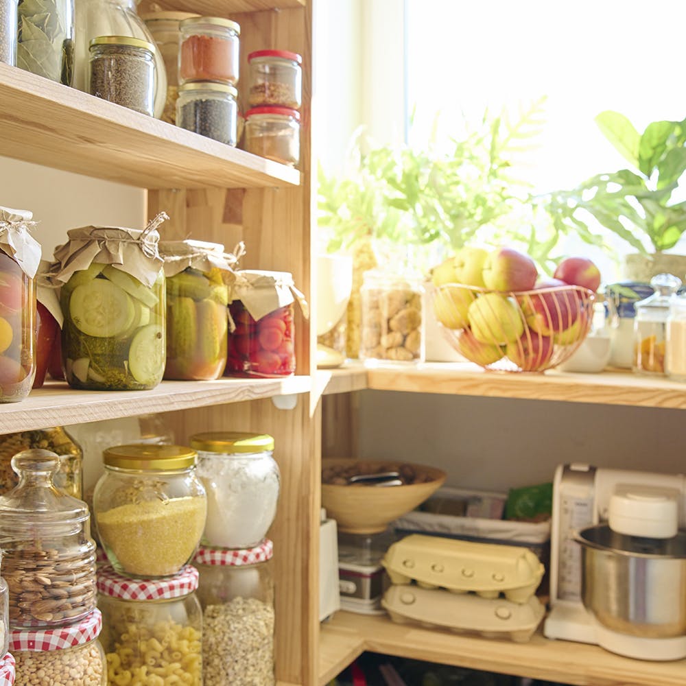 Food,Shelf,Furniture,Green,Dishware,Product,Shelving,Food storage,Tableware,Yellow