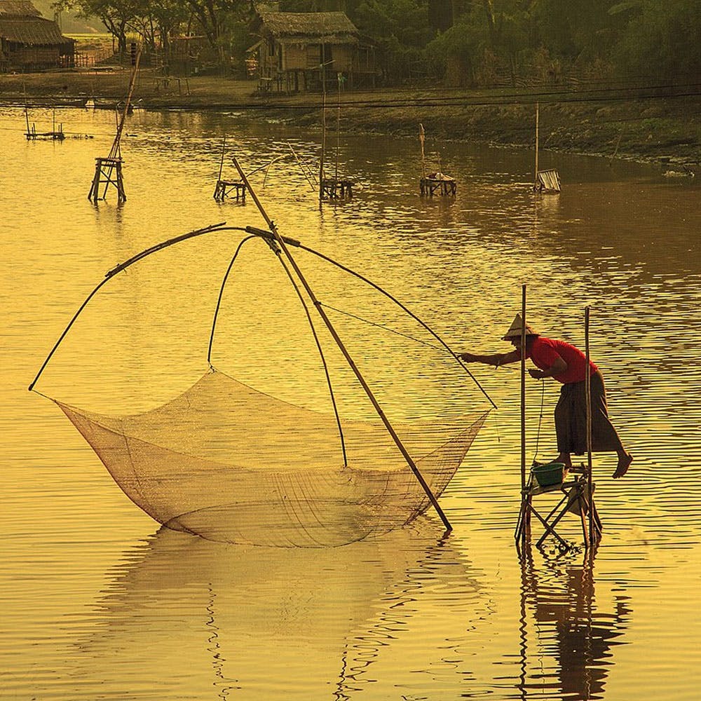 THROW-NET FISHING IN KUMBALANGHI MODEL TOURISM VILLAGE NEAR KOCHI, Stock  Photo, Picture And Royalty Free Image. Pic. HIG-00274MBAL