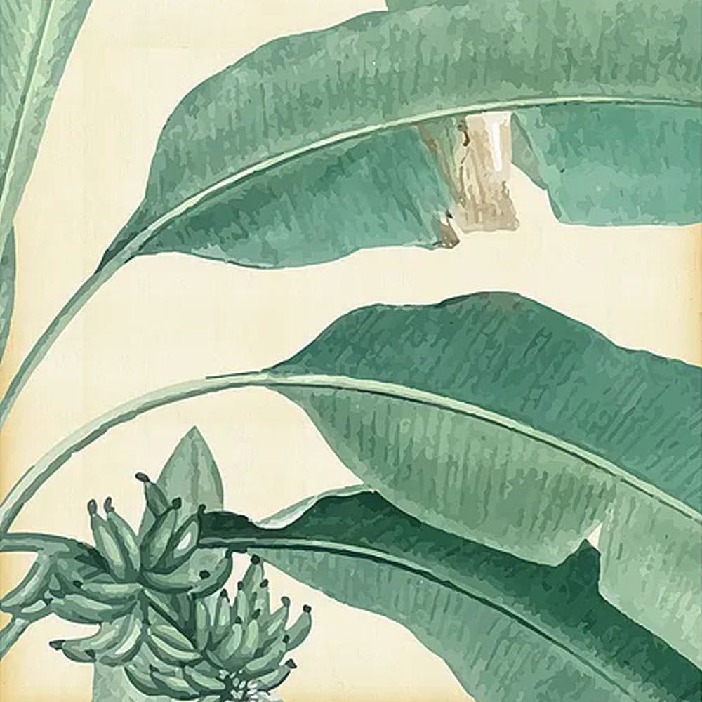 Tropical Banana leaf Art Print On Paper