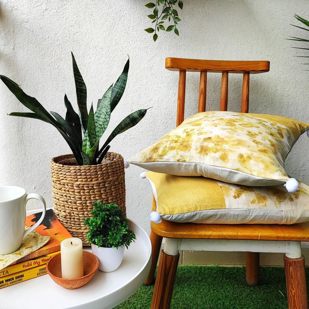 Plant,Furniture,Tableware,Green,Comfort,Cup,Wood,Interior design,Orange,Serveware