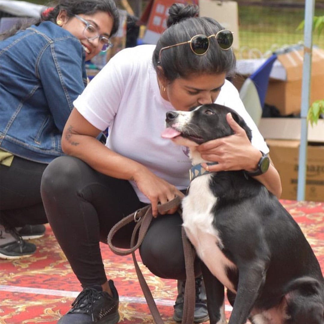Adopt Pets From Second Chance Sanctuary | LBB, Bangalore