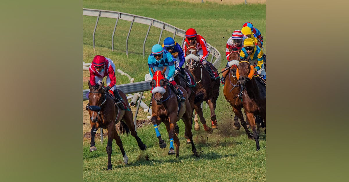Turf Racing At Hyderabad Race Club l LBB