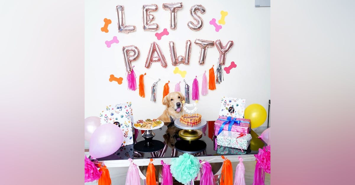 Fluff & Co: Your Pet's Best Friend