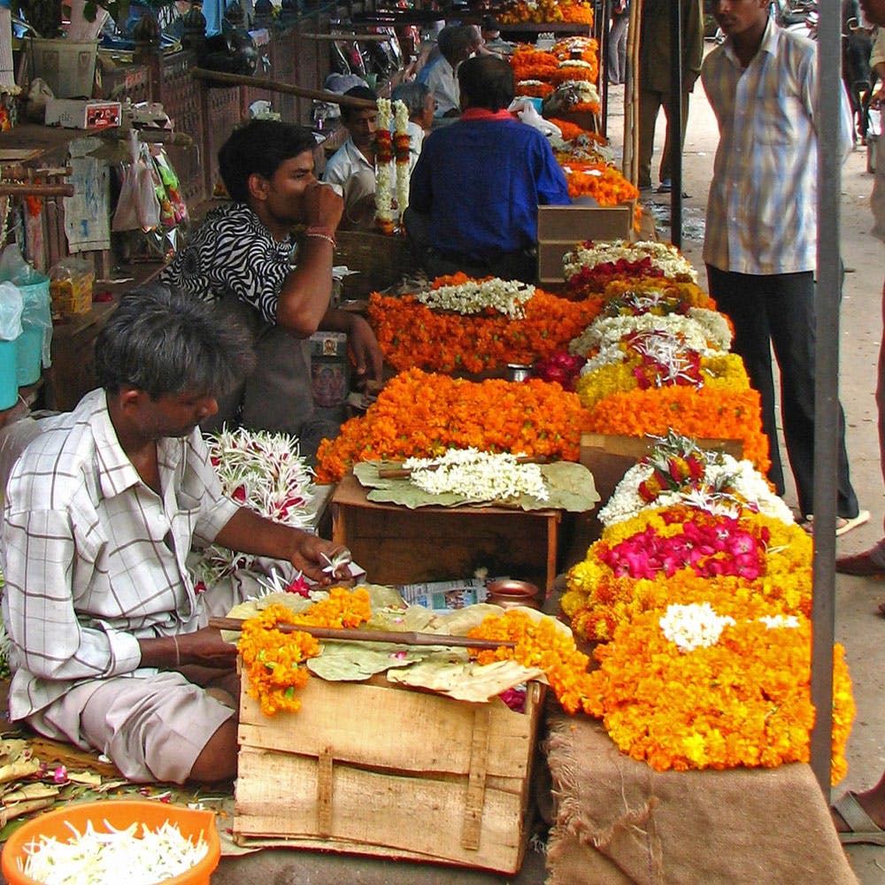 Clothing,Flower,Selling,Human,Temple,Plant,Orange,Market,Whole food,City