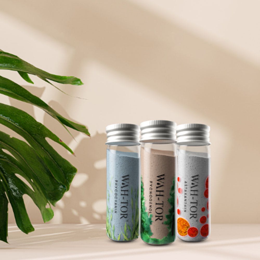 WAH-TOR Plant Based Collagen Builder