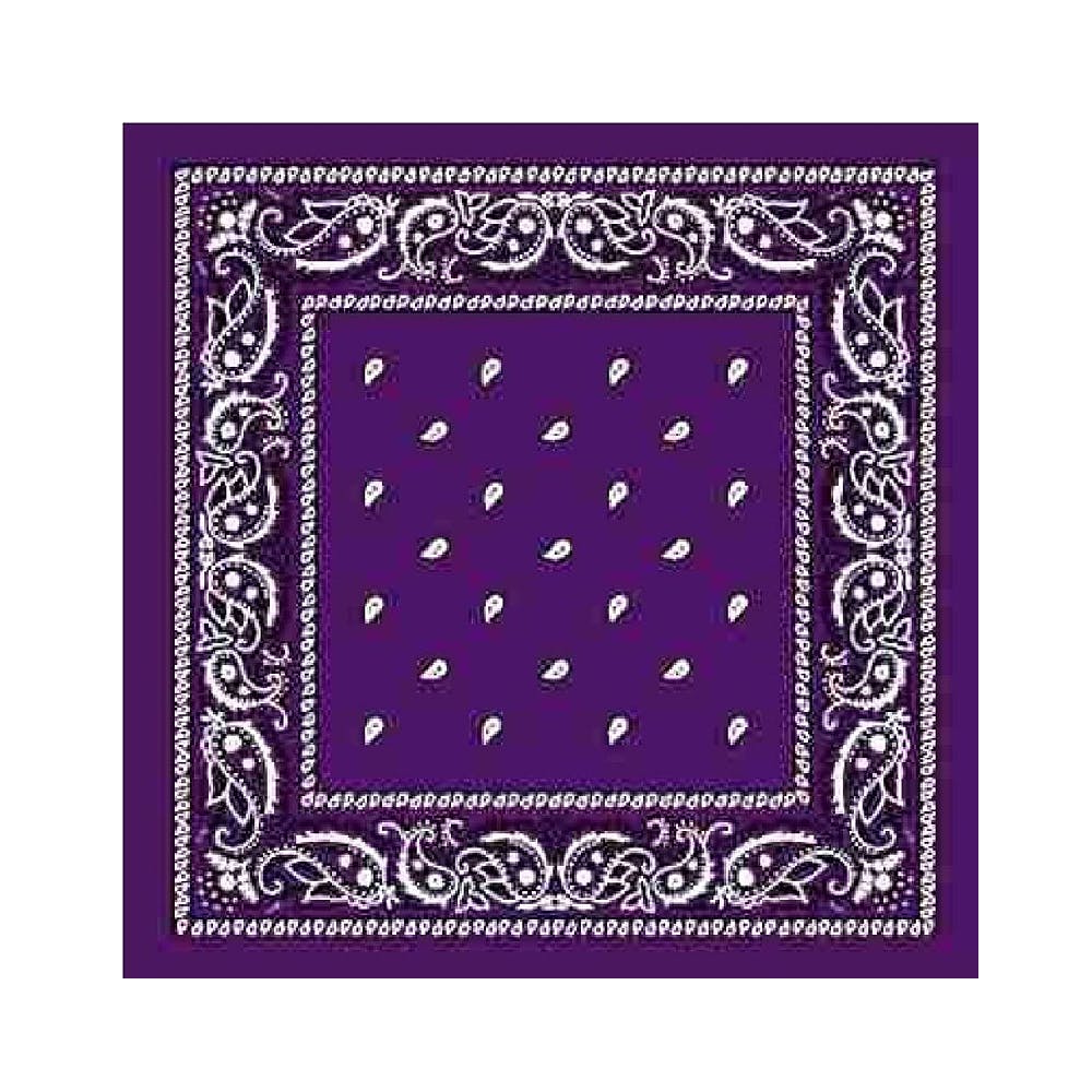 Bismaadh Unisex Cotton Paisley Printed Bandana