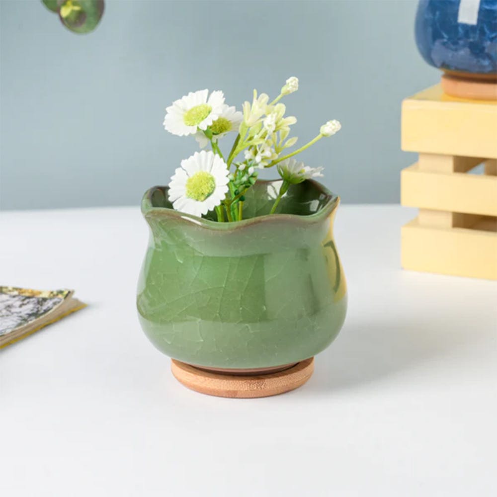 Botanica Green Ceramic Planter With Coaster