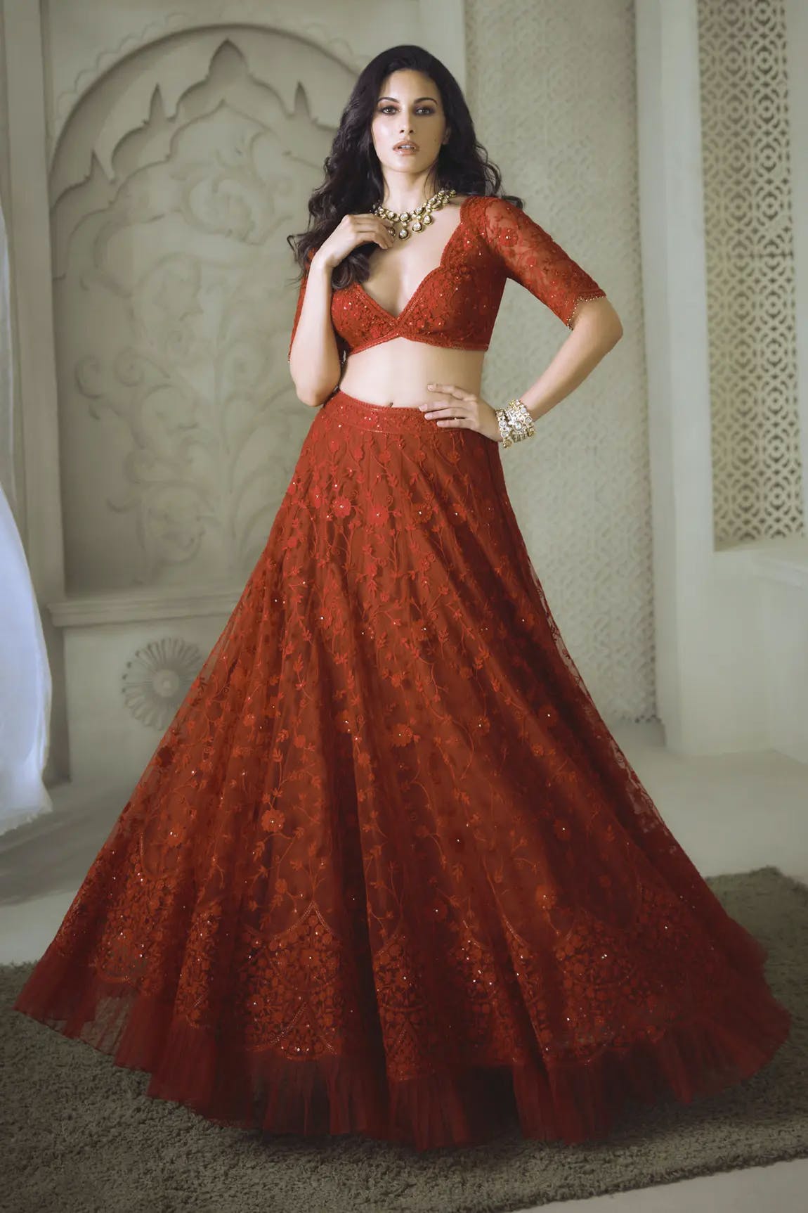 Butterfly Net Red Embroidered Lehenga