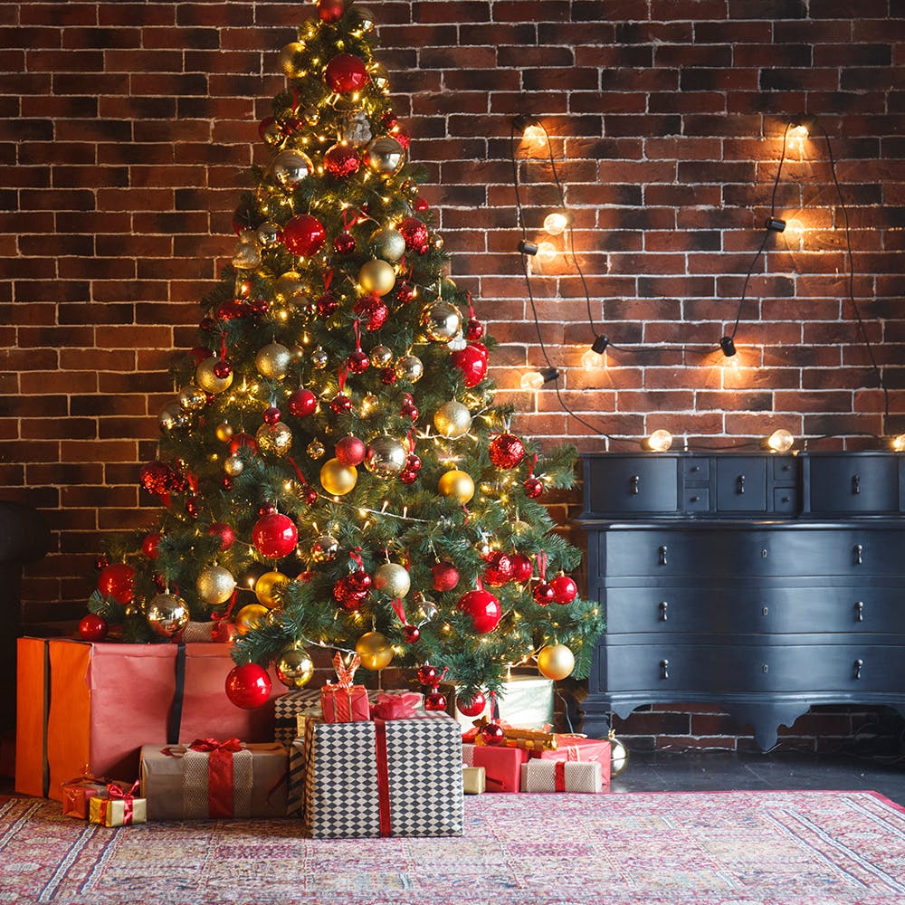 Christmas tree,Plant,Christmas ornament,Tree,Interior design,Lighting,Wood,Living room,Christmas decoration,Holiday ornament