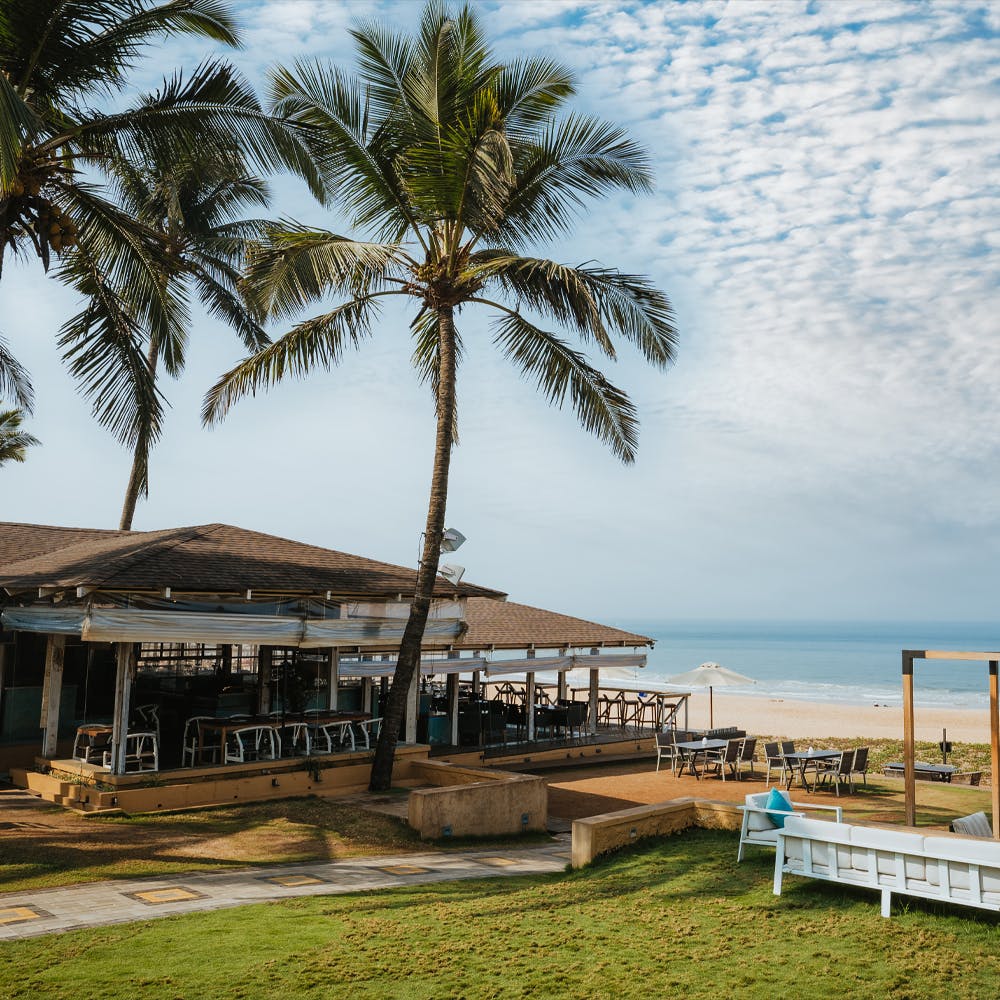 Sky,Cloud,Water,Plant,Tree,Shade,Arecales,Coastal and oceanic landforms,Beach,Morning