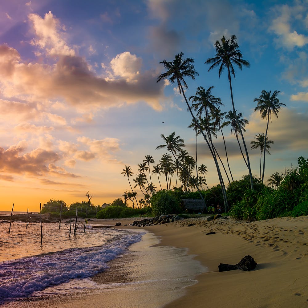 Cloud,Sky,Water,Plant,Natural landscape,Tree,Beach,Arecales,Sunlight,Coastal and oceanic landforms