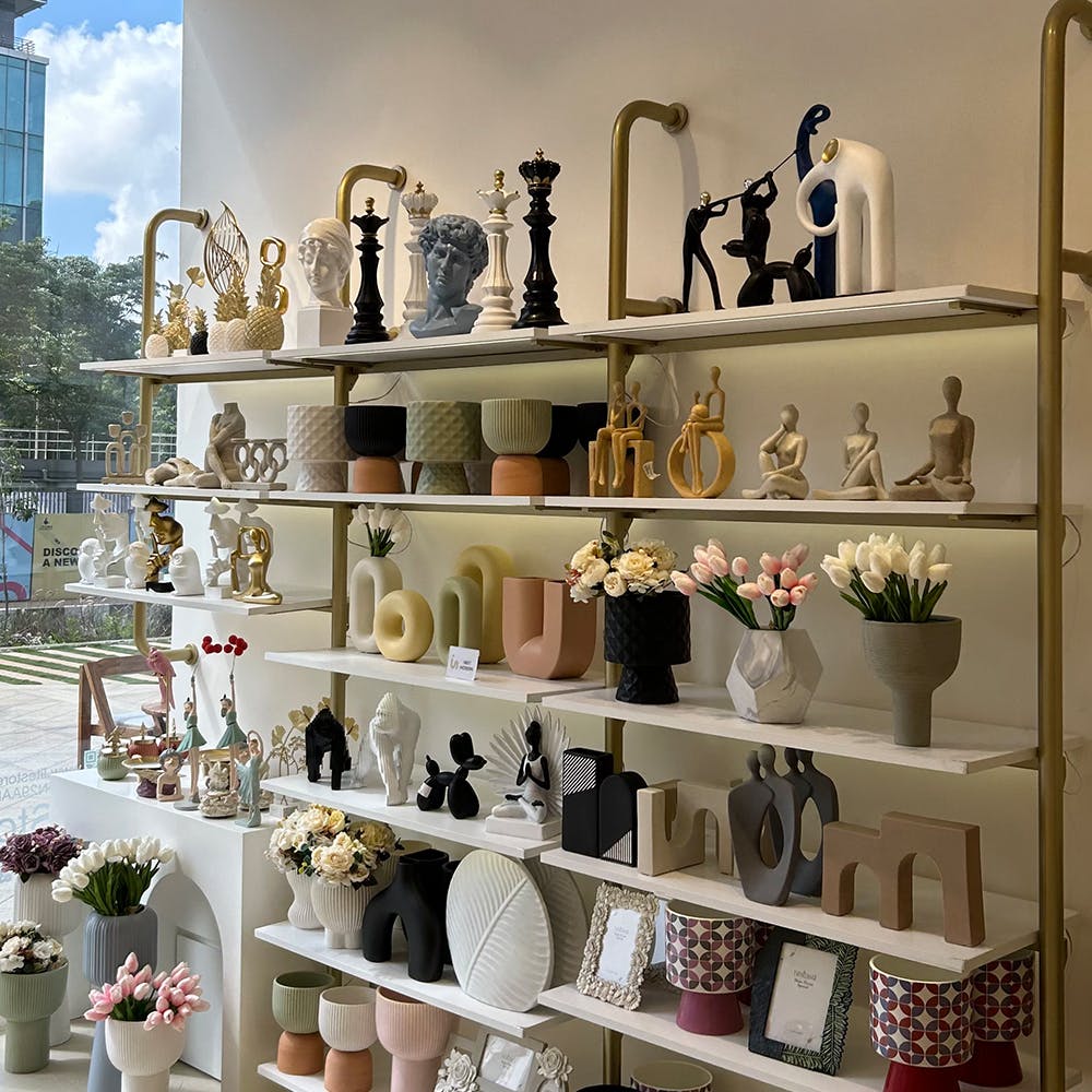 Shelf,Plant,White,Flowerpot,Shelving,Interior design,Drinkware,Serveware,Souvenir,Pottery