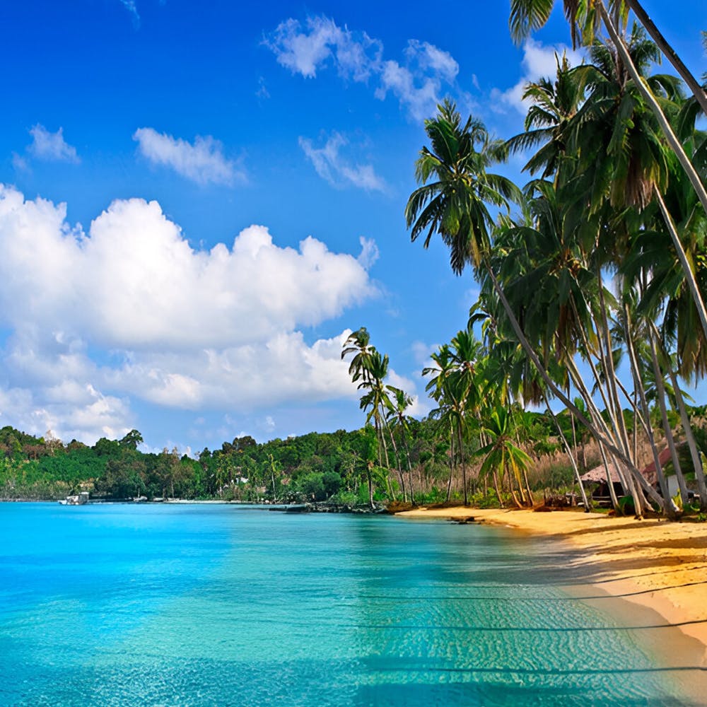 Water,Cloud,Sky,Plant,Blue,Azure,Natural landscape,Tree,Coastal and oceanic landforms,Arecales