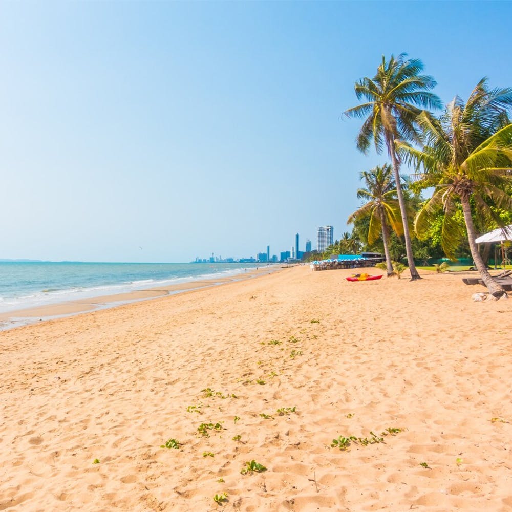 Water,Sky,Azure,Tree,Beach,People on beach,Coastal and oceanic landforms,Arecales,Travel,Landscape