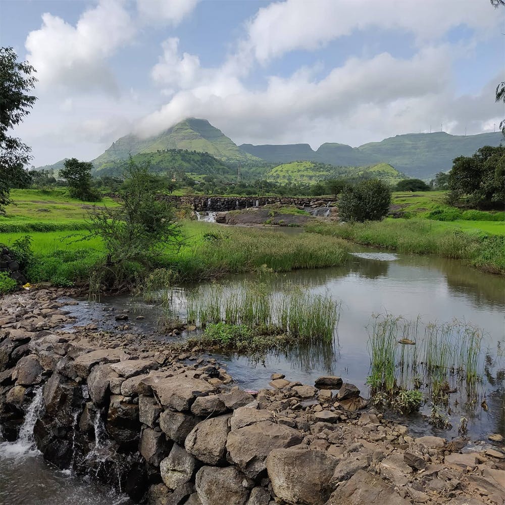 Water,Cloud,Plant,Sky,Plant community,Mountain,Fluvial landforms of streams,Natural landscape,Tree,Vegetation