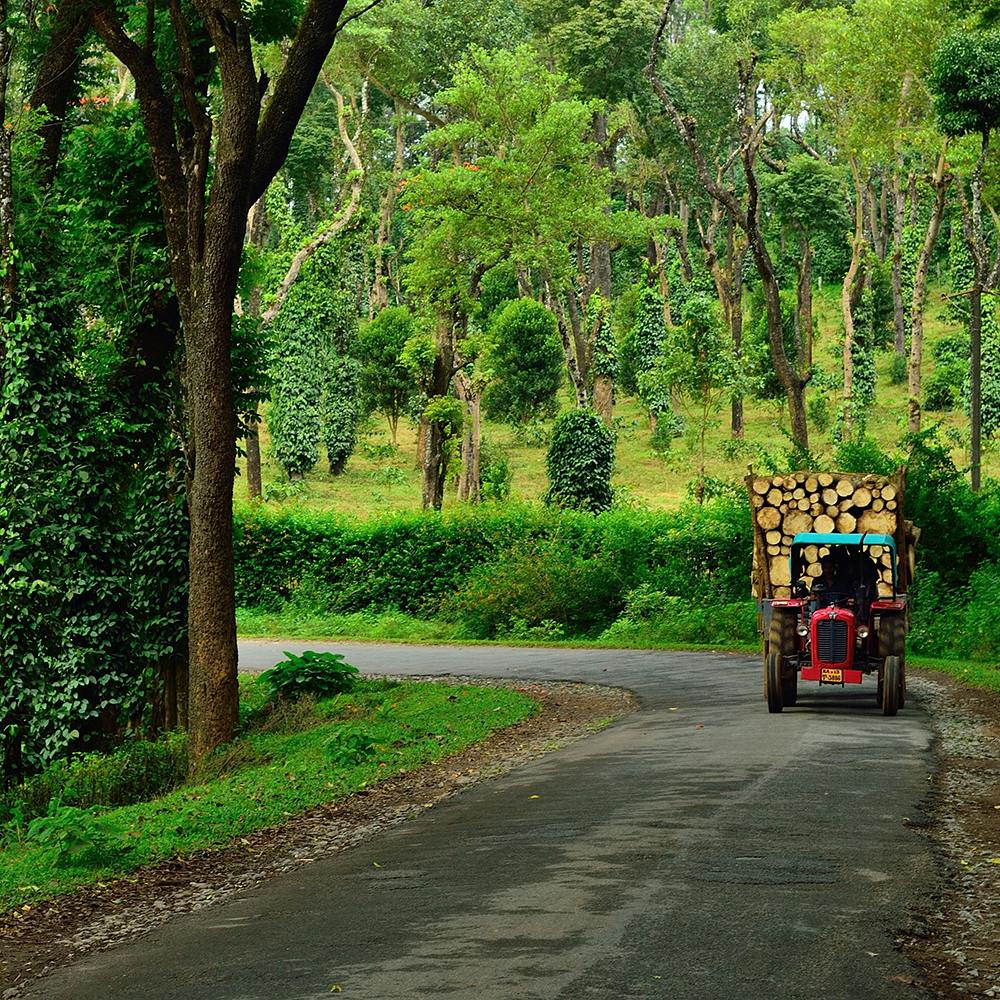 Plant,Wheel,Tire,Vehicle,Tree,Road surface,Motor vehicle,Asphalt,Natural landscape,Land lot