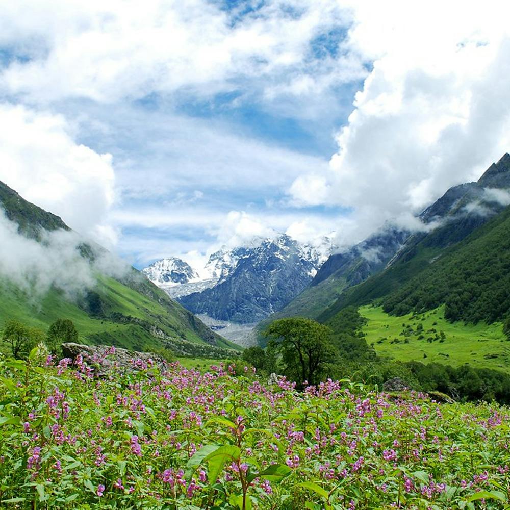 Cloud,Sky,Flower,Plant,Mountain,Plant community,People in nature,Natural landscape,Natural environment,Grass