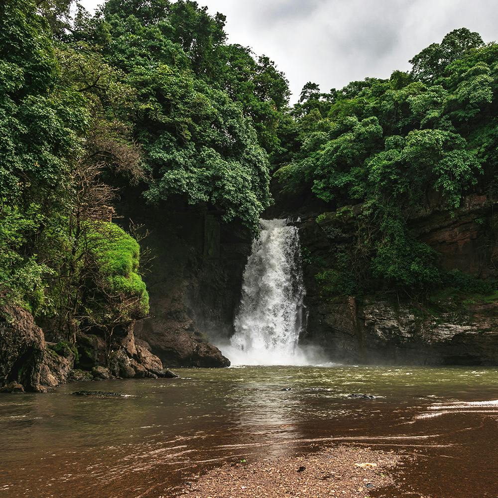 Water,Cloud,Ecoregion,Sky,Plant,Branch,Fluvial landforms of streams,Natural landscape,Waterfall,Tree