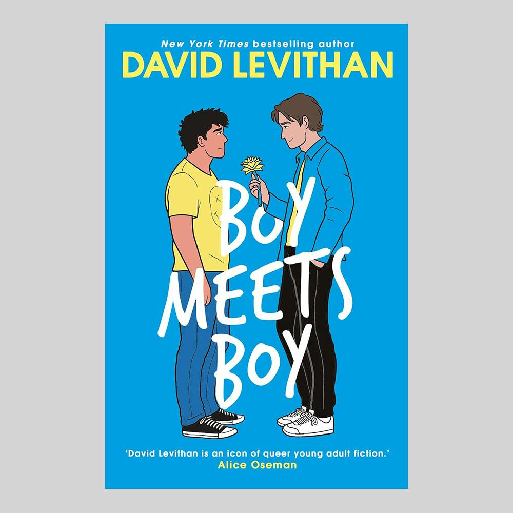 Boy Meets Boy: A YA Story Of Friendship & Love