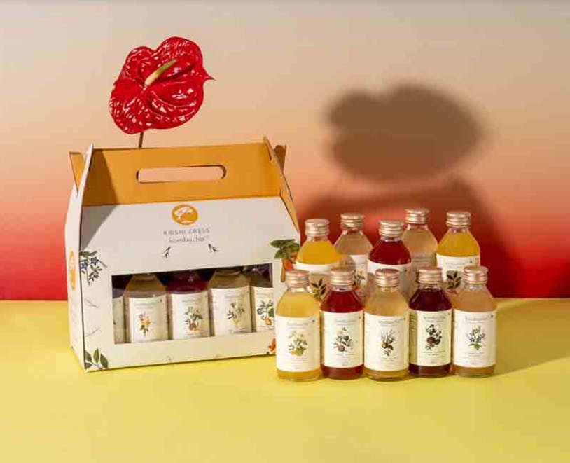 Kombucha Trial Pack Of 10