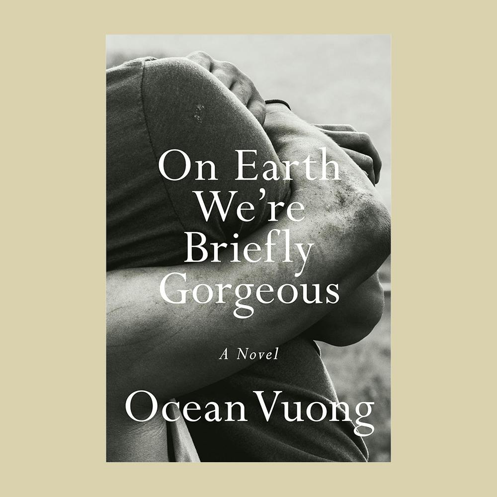 On Earth We're Briefly Gorgeous: A Novel