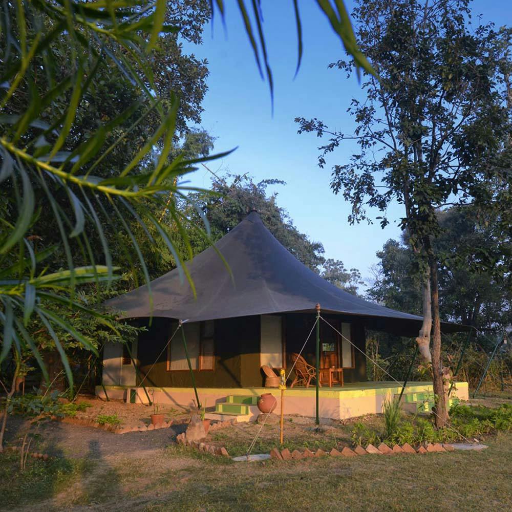 Plant,Sky,Thatching,Shade,Tree,Terrestrial plant,Cottage,Tent,Landscape,Rural area