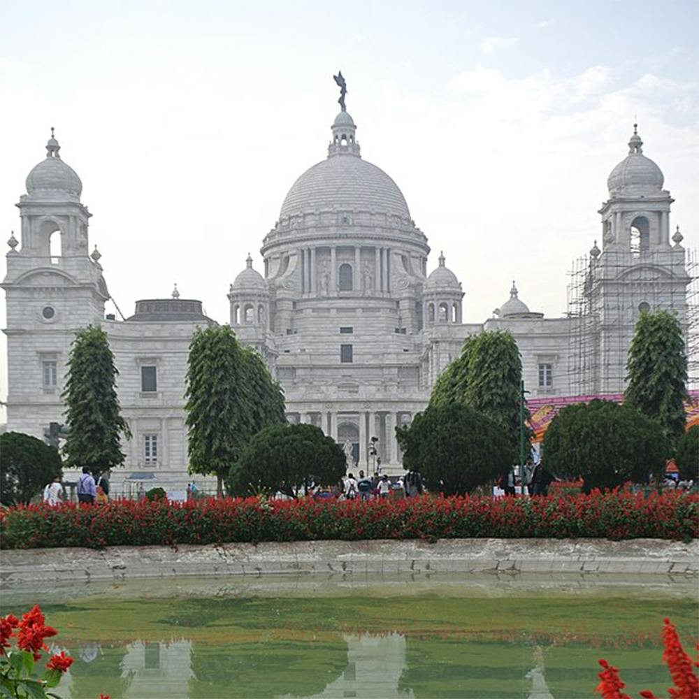 Plant,Sky,Flower,Water,Cloud,White,Tree,Building,Facade,City