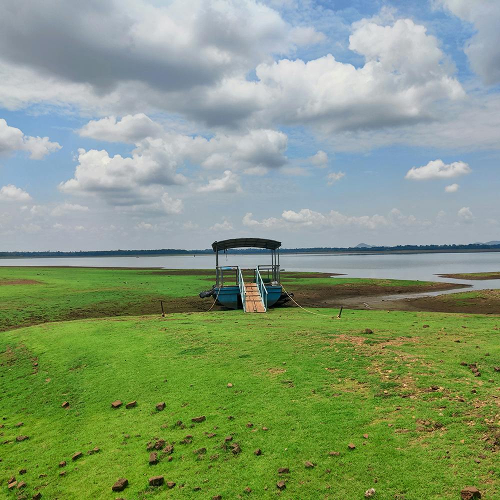 Cloud,Sky,Water,Natural landscape,Coastal and oceanic landforms,Cumulus,Grass,Horizon,Grassland,Grass family