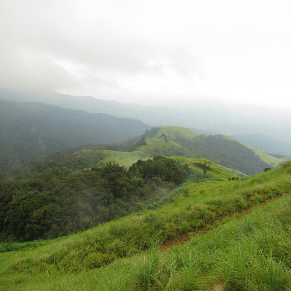 Cloud,Sky,Plant,Mountain,Natural landscape,Tree,Vegetation,Terrain,Slope,Plain