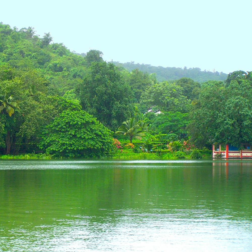 Water,Sky,Ecoregion,Green,Plant,Natural landscape,Fluvial landforms of streams,Lake,Tree,Watercourse